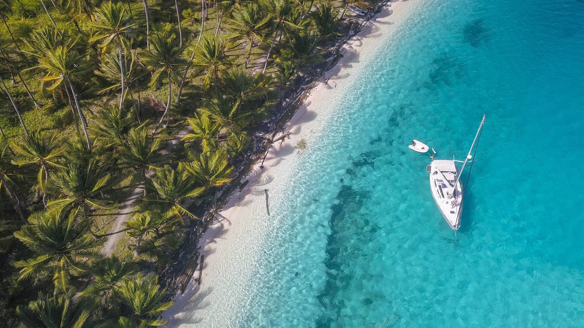 Everything You Want To Need